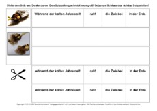 Tulpe-Sätze-umstellen-4-B.pdf